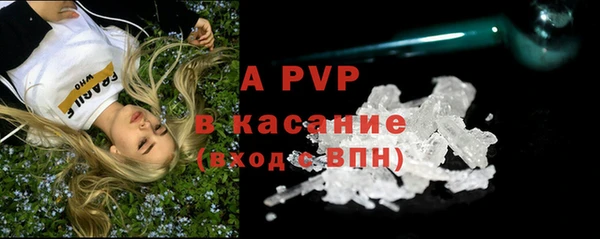 ПСИЛОЦИБИНОВЫЕ ГРИБЫ Вязники