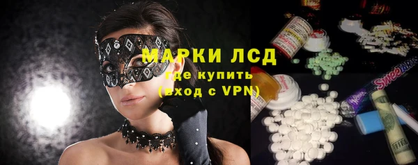 ПСИЛОЦИБИНОВЫЕ ГРИБЫ Вязники