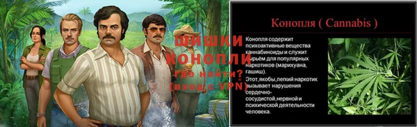 спиды Вязьма