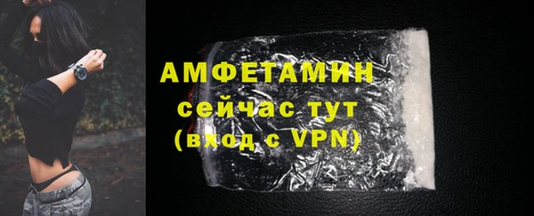 ПСИЛОЦИБИНОВЫЕ ГРИБЫ Вязники